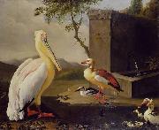 Adriaen Coorte Pelican and ducks in a mountain landscape or Oriental Birds painting